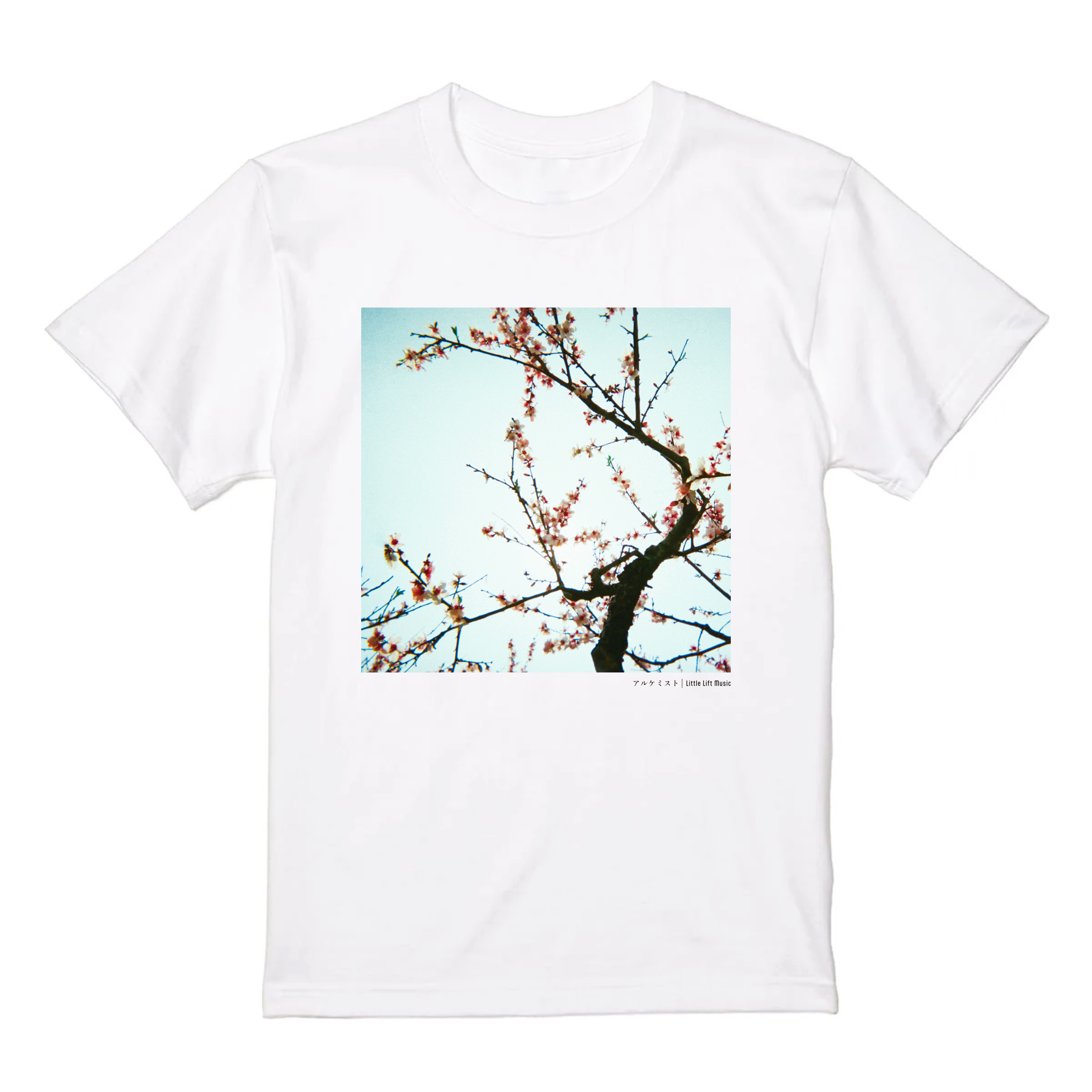Tシャツイメージ