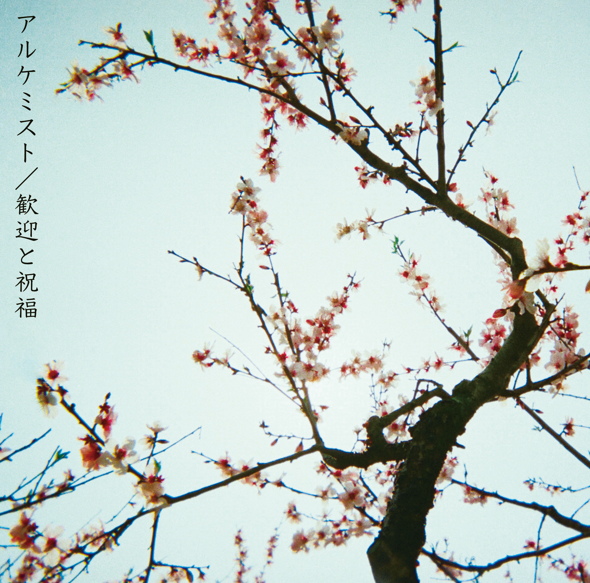 歓迎と祝福