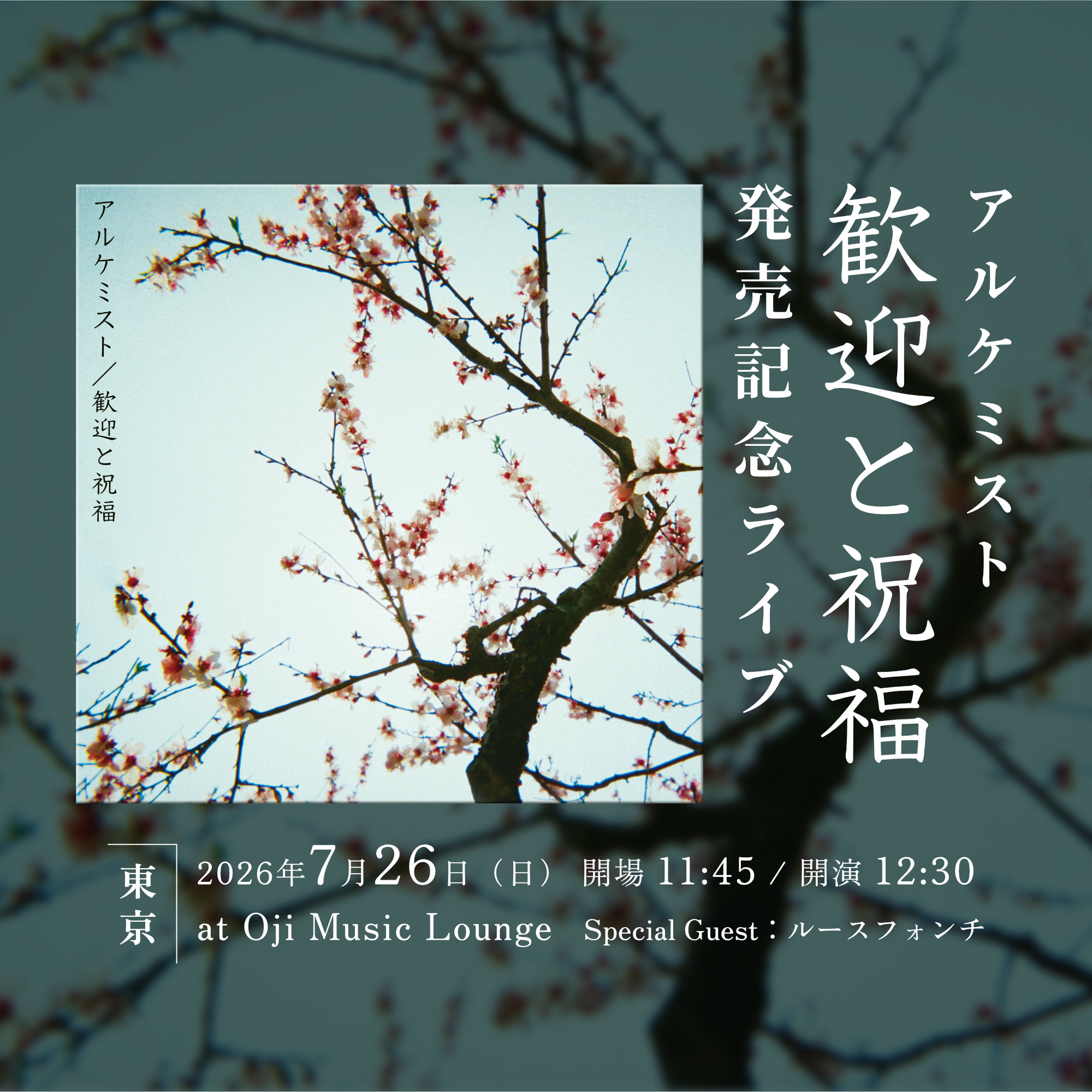 『歓迎と祝福』発売記念ライブ - 東京 -